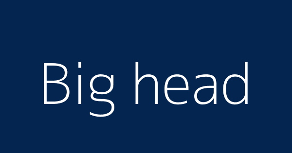 Big head definitions meanings that nobody will tell you 